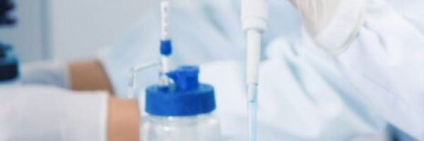 11662412251153308444